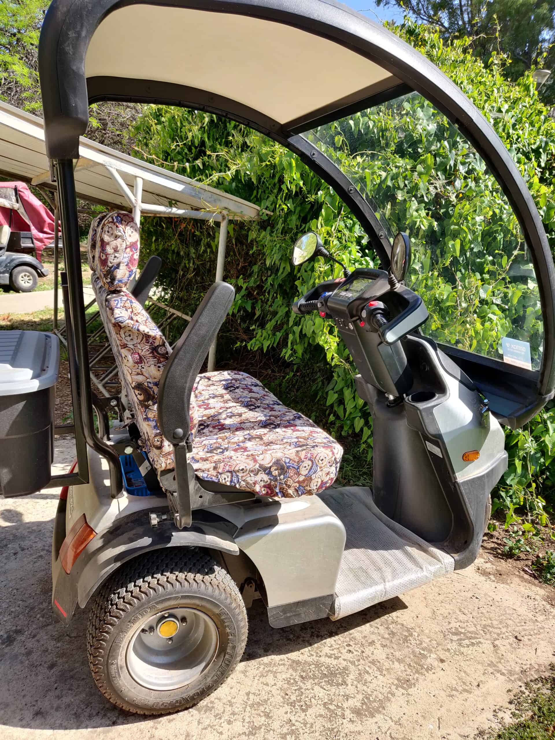 three-wheel-electric-cart-yad2